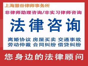 上海法律咨詢 律師會(huì)見、取保候?qū)彙p刑緩刑辯護(hù)服務(wù)詳解